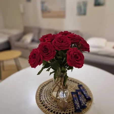 Lovely Apartment, Glazed Balcony And Own Parking Space Apartament Hyvinkää